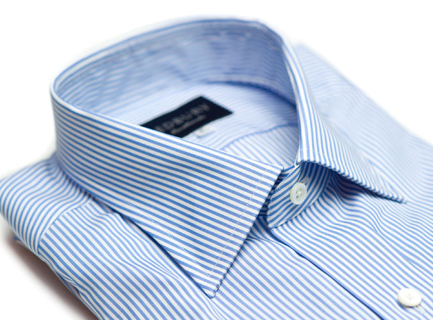The Light Blue Bengal collar